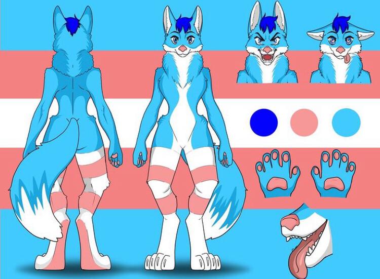 transgender-pride-flag