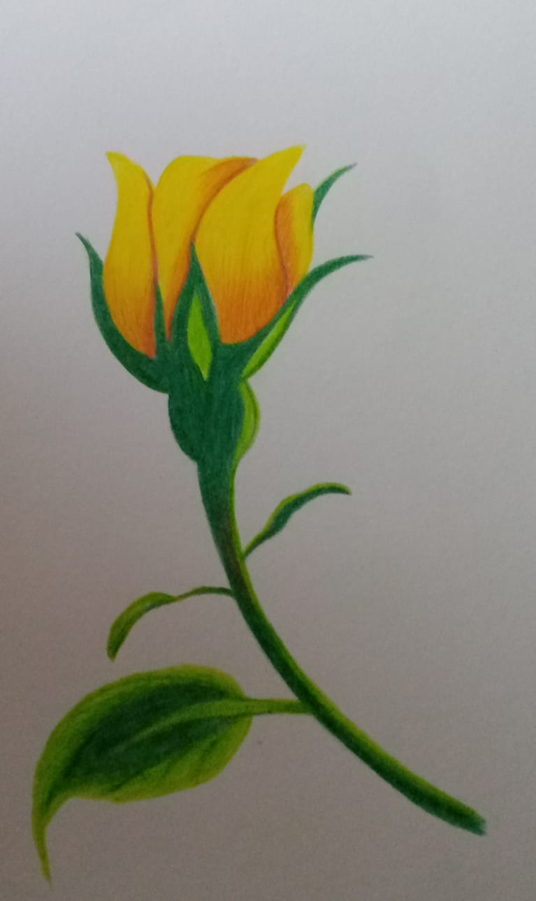 buy-hand-sketches-online