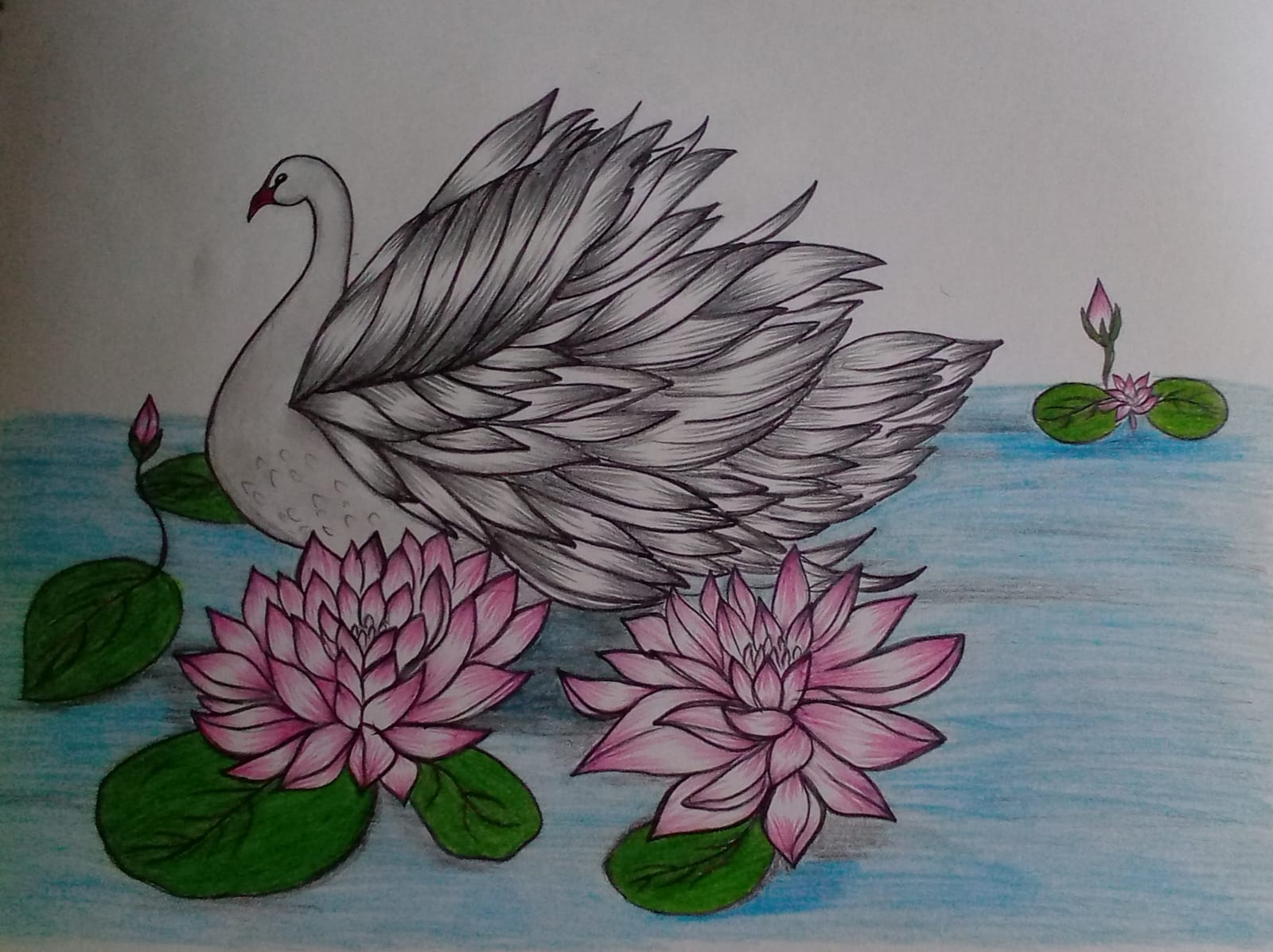 hire-artist-for-hand-drawing