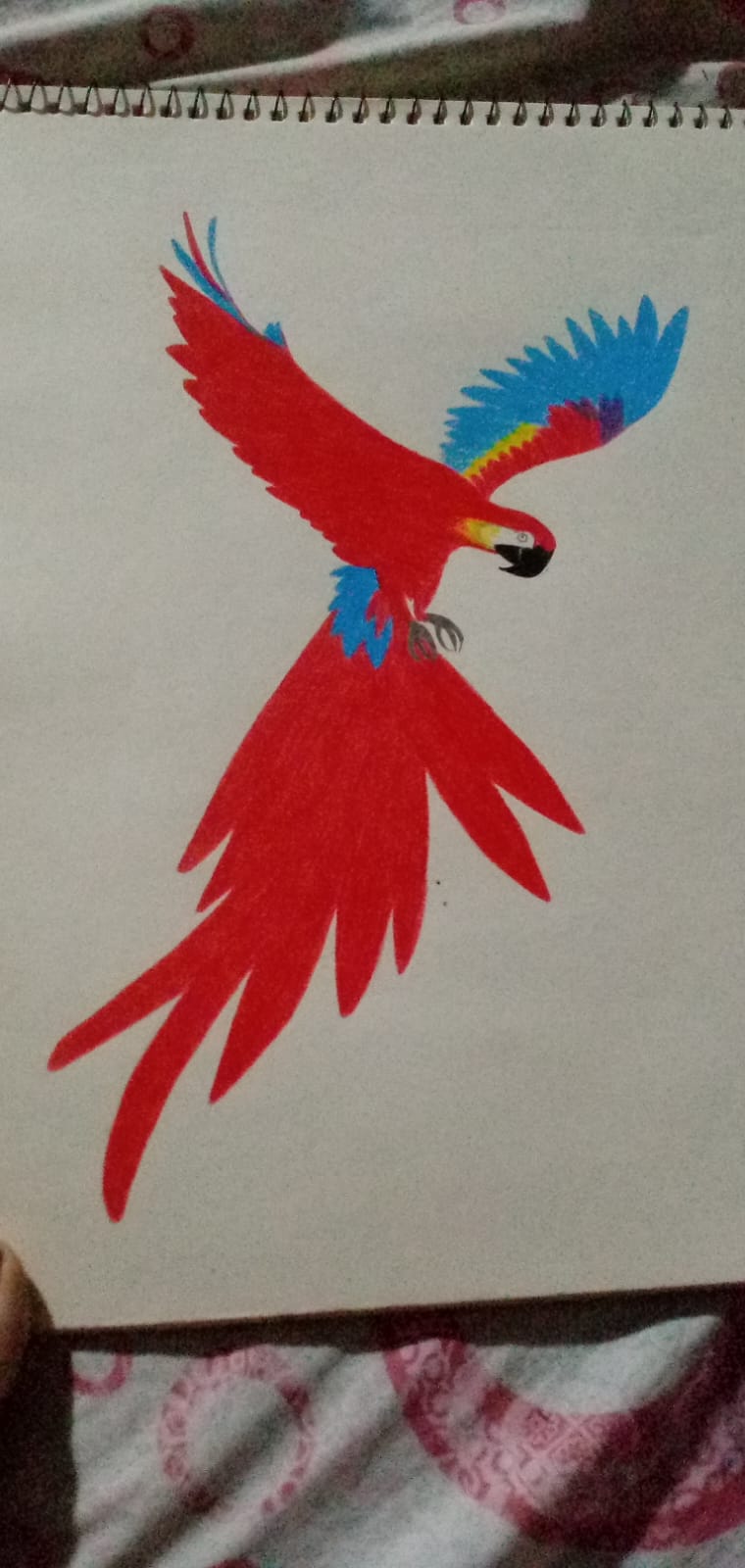 hand-sketch-illustration-service