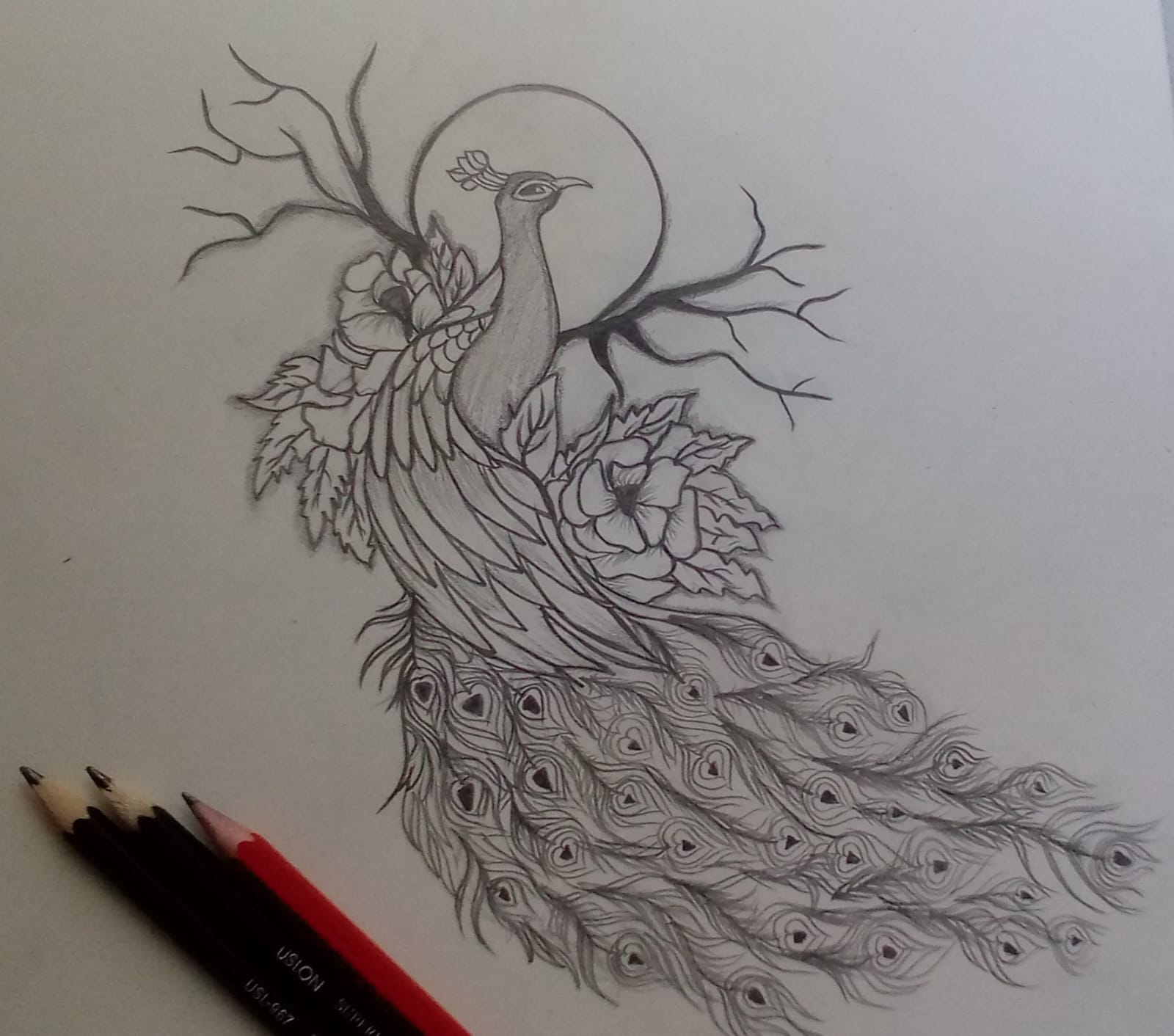 hand-sketch-Etsy- shop