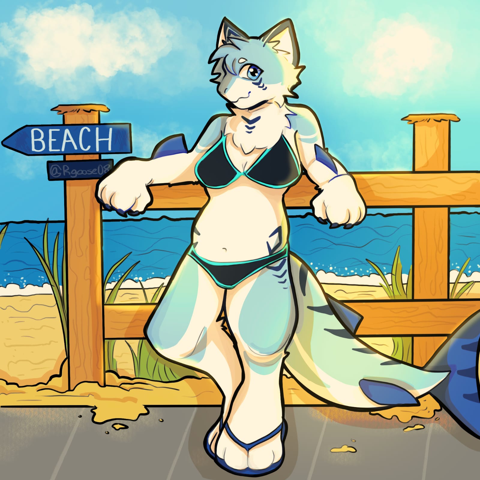 sfw-beach